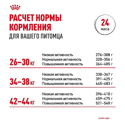 Сухой корм Royal Canin Maxi Dermacomfort для взрослых крупных пород 10 кг